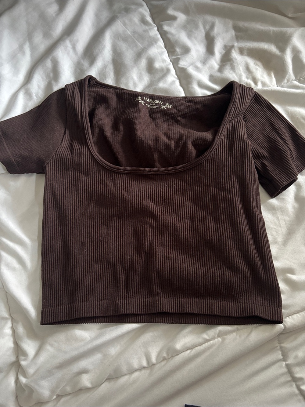 Harlow Ribbed Scoop Neck Crop Top - Brown